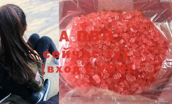таблы Осташков