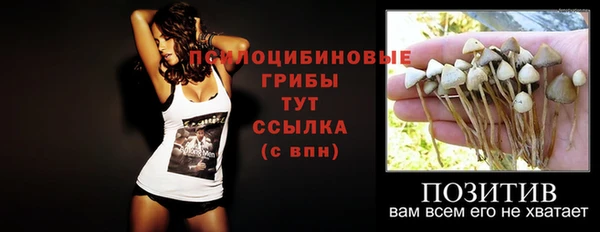 бутират Осинники