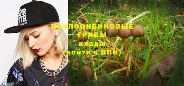 бутират Осинники
