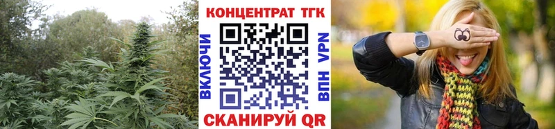 ТГК THC oil omg ссылка Богородск наркошоп