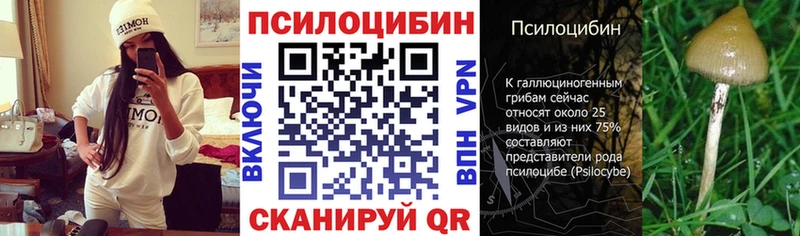Галлюциногенные грибы Cubensis купить Богородск