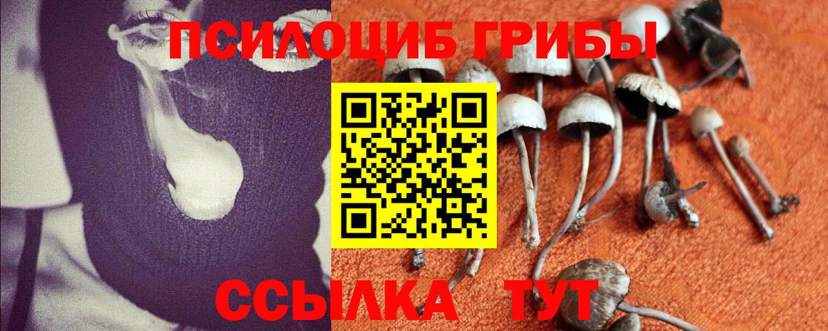 Псилоцибиновые грибы ЛСД Богородск